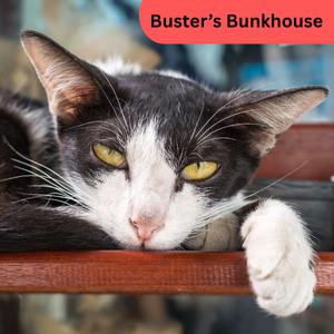 Buster's Bunkhouse Visit Buster's Bunkhouse